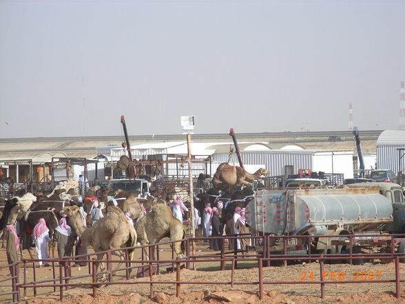 Riyadh_Saudi Arabien 2007 - 