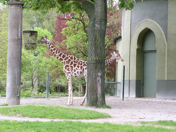 München Mai 2006 - 