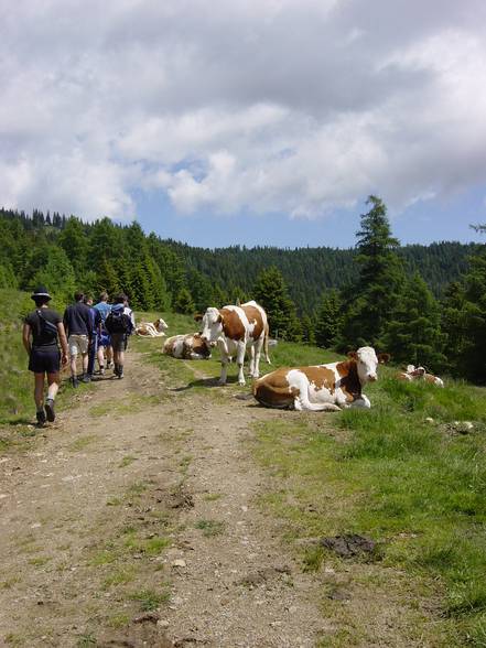 Tonis Hütte in Obdach Juni 2004 - 