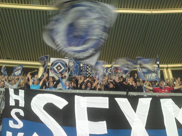 RAPID 3:0 HSV - 