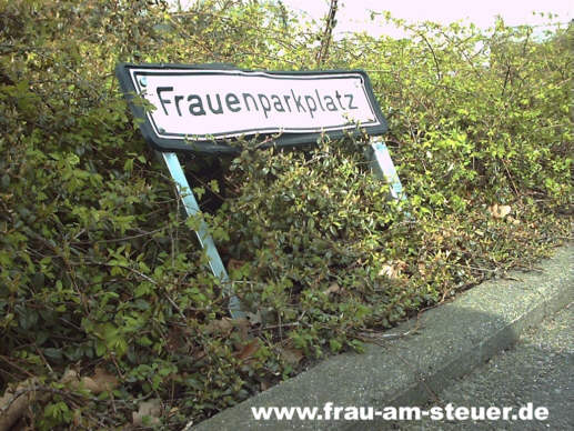 Frau am Steuer - 