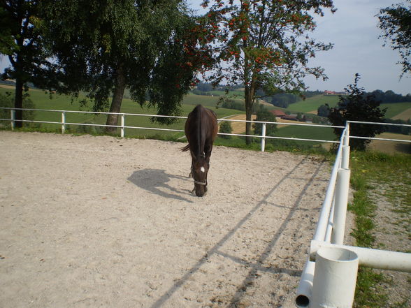 Meine Süße Mady - 