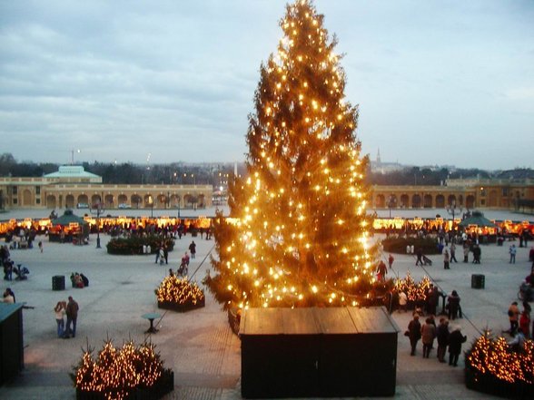 geburtstag(e) in wien - 