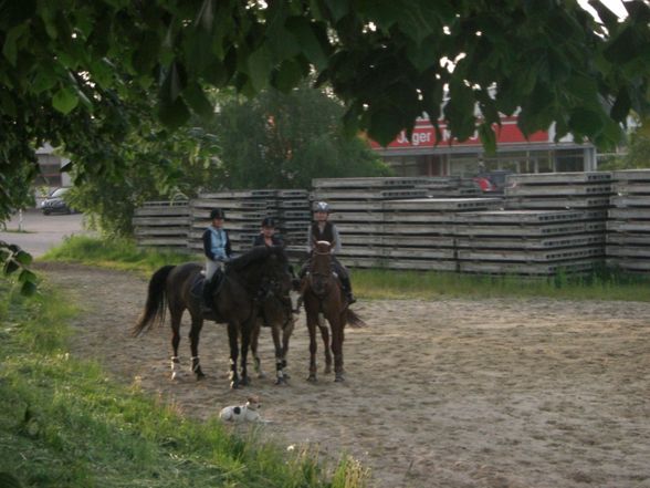 Springstunde beim Hörbi - 