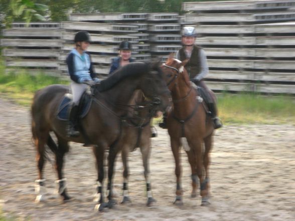 Springstunde beim Hörbi - 