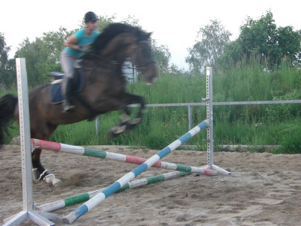 Springstunde beim Hörbi - 