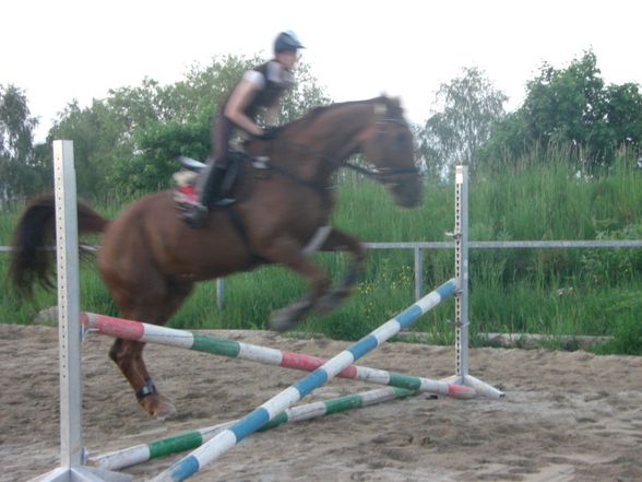 Springstunde beim Hörbi - 