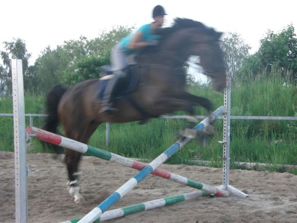 Springstunde beim Hörbi - 