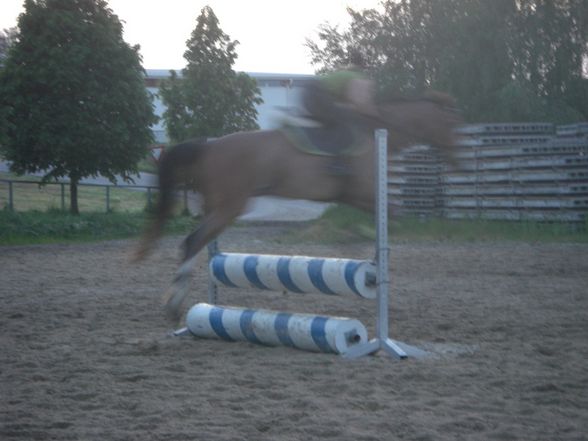 Springstunde beim Hörbi - 