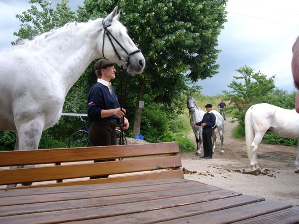 CAI Altenfelden 2008 - 