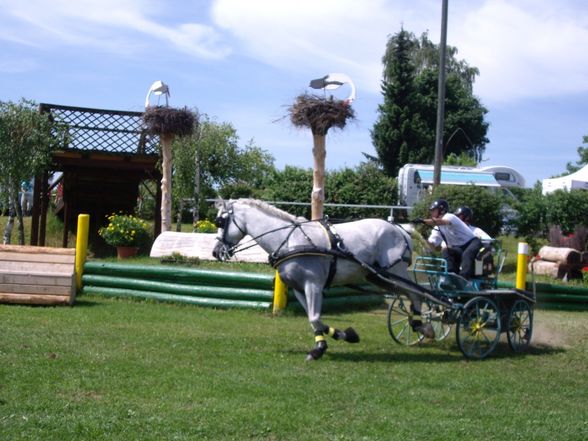 CAI Altenfelden 2008 - 