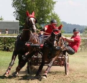 CAI Altenfelden 2008 - 