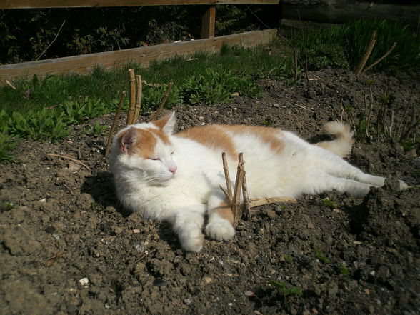 Der Frühling ist daaaaaa! - 