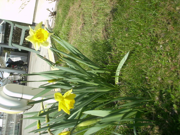 Der Frühling ist daaaaaa! - 