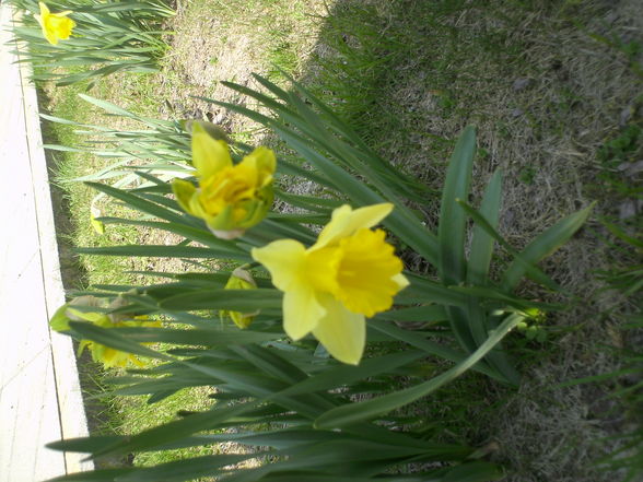 Der Frühling ist daaaaaa! - 