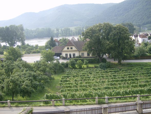 mit dem Rad in die Wachau-2009 - 