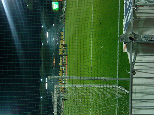 Rapid Wien Saison 2008/09 - 