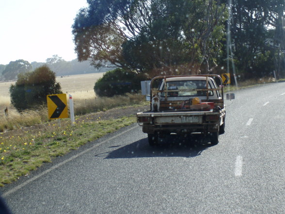 Great Ocean road Tour - 