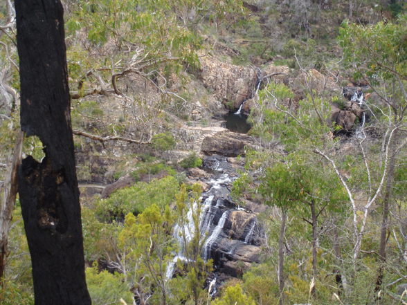 Great Ocean road Tour - 