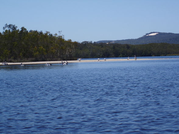 Noosa kanutour - 