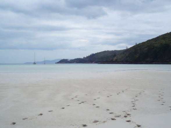 Whitsunday Island segeln - 