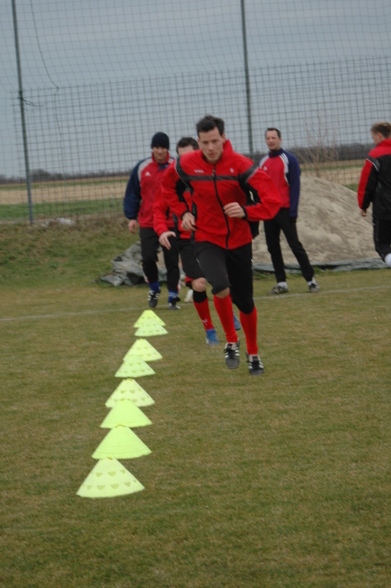 Hart hams trainiert 2 - 