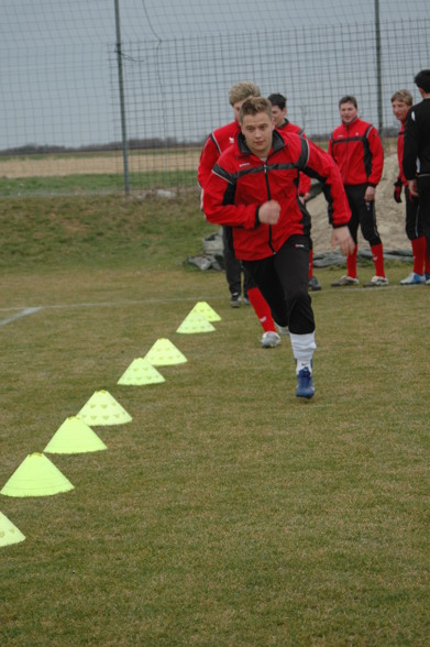 Hart hams trainiert 2 - 