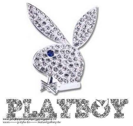 playboy hasen - 