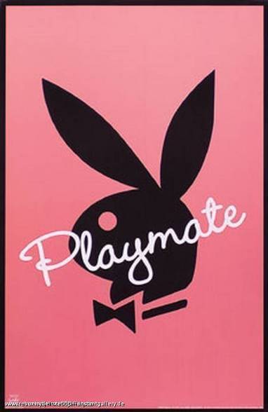 playboy hasen - 