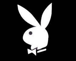 playboy hasen - 