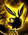 Playboy is des geilste  was giebt - 