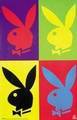 Playboy is des geilste  was giebt - 