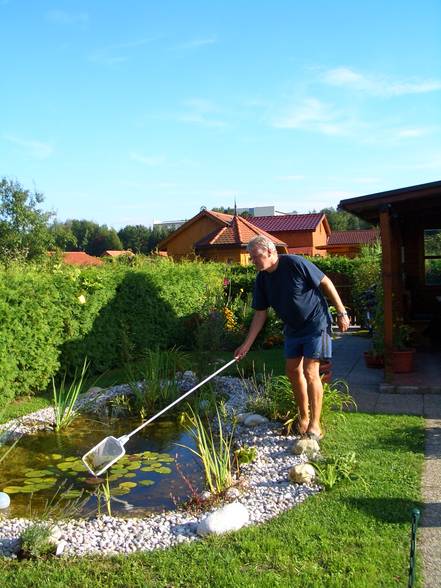 Der Bau meiner Gartenhütte!!! Juhu - 