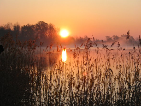 Landschaften - 