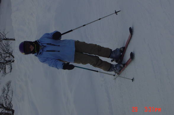 SkIUrLauB iN hInTAgleMM - 