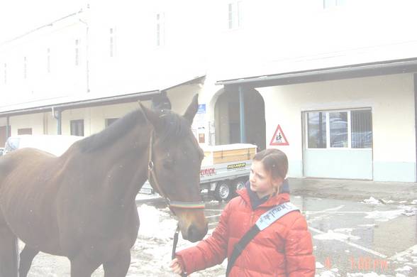 mei pferd,mei hamsta und mei katzi:) - 