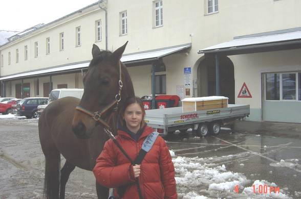 mei pferd,mei hamsta und mei katzi:) - 