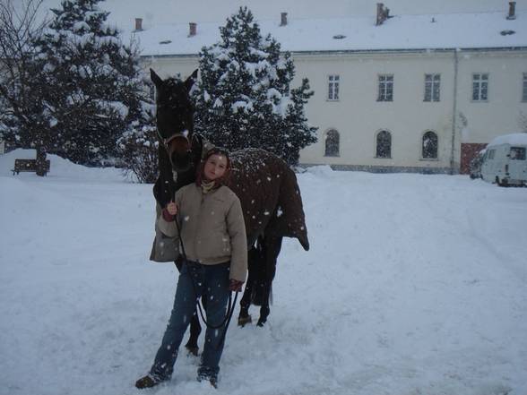 mei pferd,mei hamsta und mei katzi:) - 