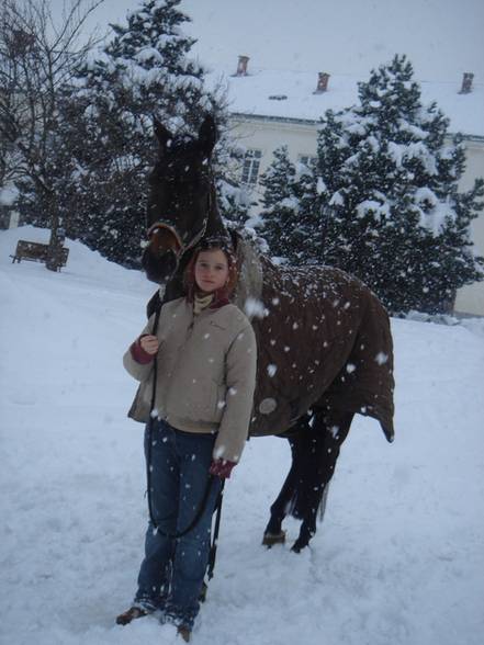 mei pferd,mei hamsta und mei katzi:) - 