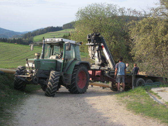 Maibaumsetzen Bauhütte 2010 - 