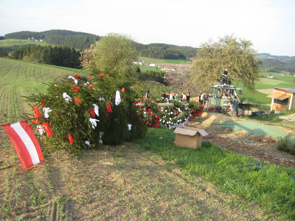 Maibaumsetzen Bauhütte 2010 - 