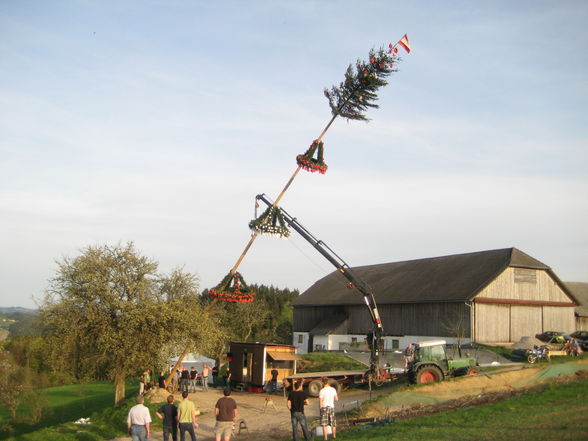 Maibaumsetzen Bauhütte 2010 - 