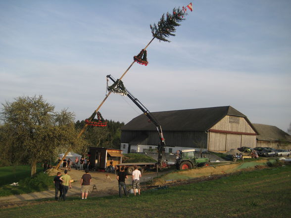 Maibaumsetzen Bauhütte 2010 - 