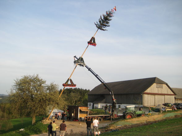 Maibaumsetzen Bauhütte 2010 - 