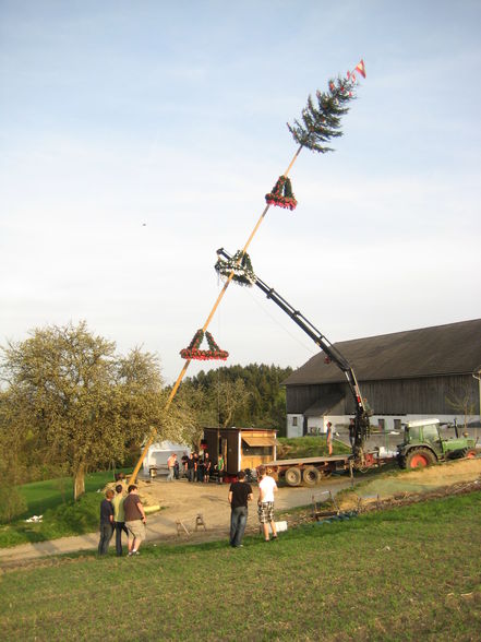 Maibaumsetzen Bauhütte 2010 - 