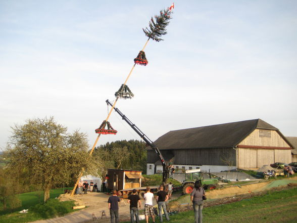 Maibaumsetzen Bauhütte 2010 - 