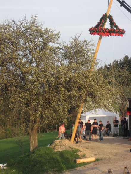 Maibaumsetzen Bauhütte 2010 - 