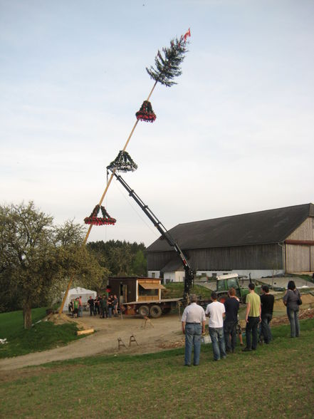 Maibaumsetzen Bauhütte 2010 - 