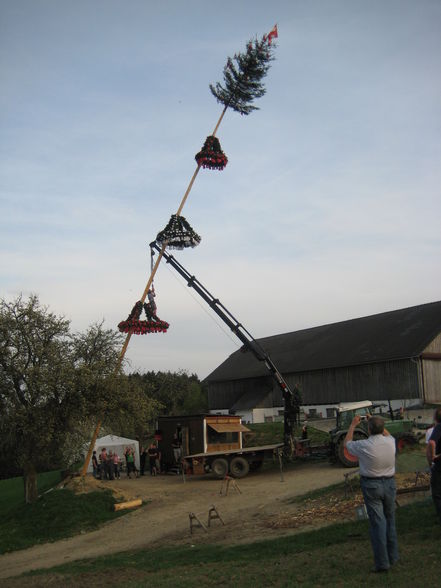 Maibaumsetzen Bauhütte 2010 - 