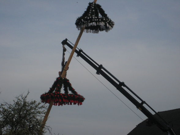 Maibaumsetzen Bauhütte 2010 - 